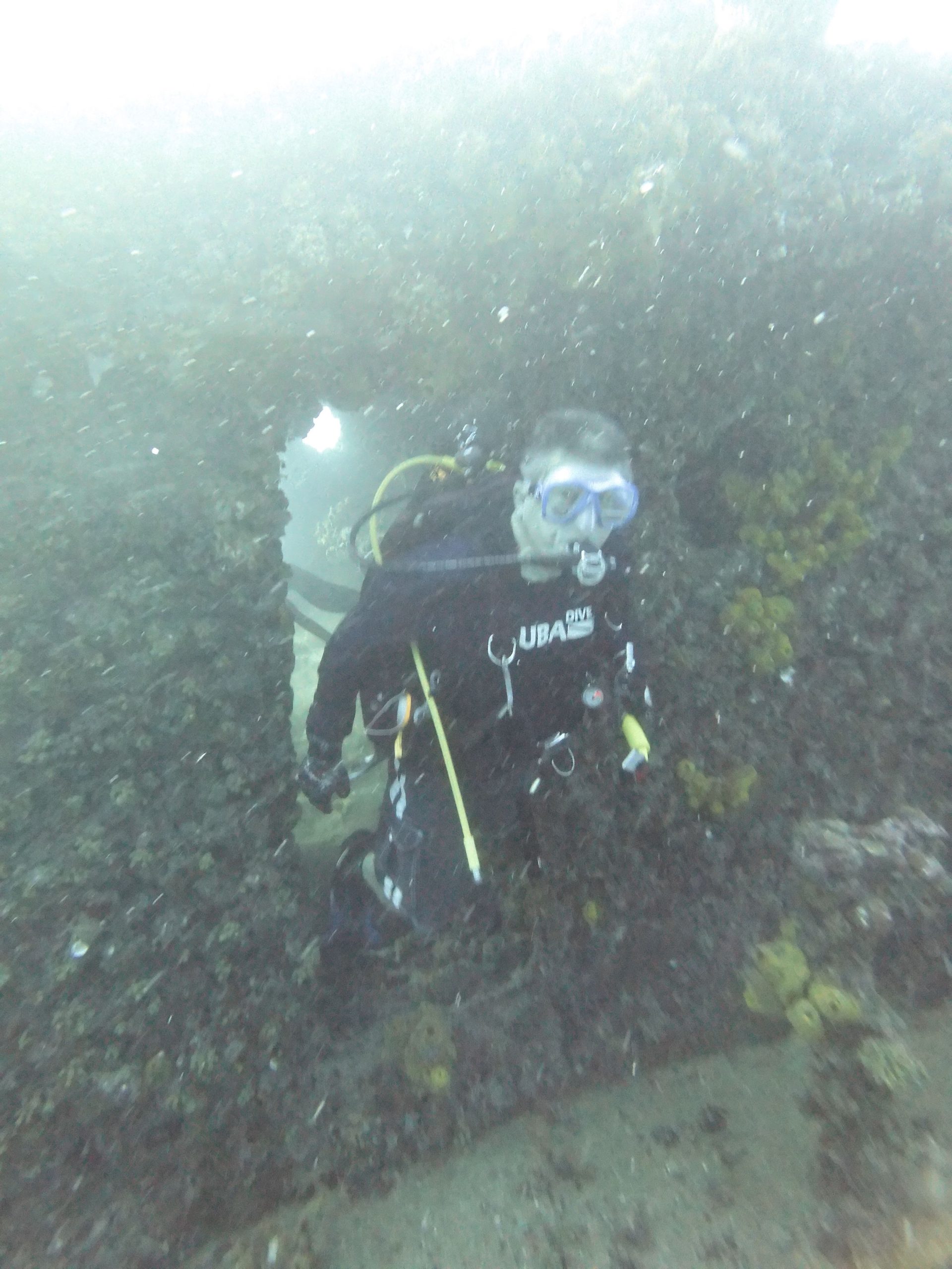 Fabulous Dives in Pompano Beach, Florida