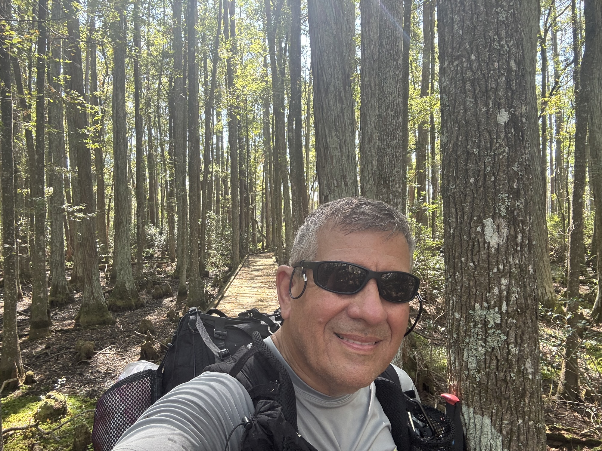 Great section hike on the Osceola National Forest section of the Florida Trail!